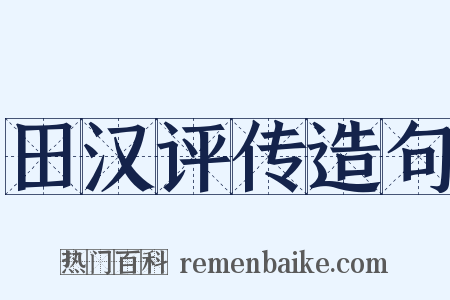 田汉评传造句是什么意思的图片